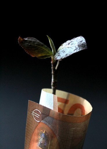 A tree sprout growing from money
