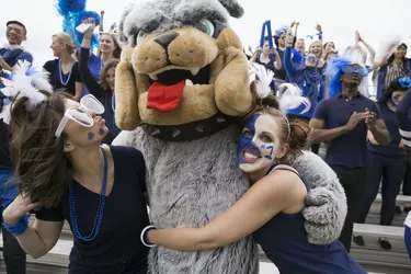 Fans hugging bulldog mascot in bleachers sports event