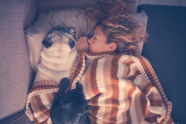 true love sleeping all together in the morning young beautiful woman and two pretty dog pug