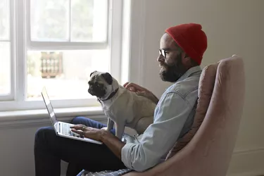 Man sitting with laptop together with Puck dog