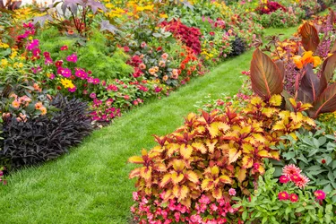 Colorful flower garden