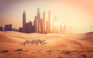 Dubai city in the desert