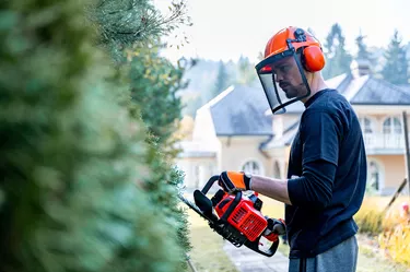 Trimming hedge with power saw