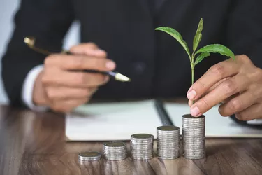 Hand with tree growing from pile of coins, concept for business, innovation, growth and money