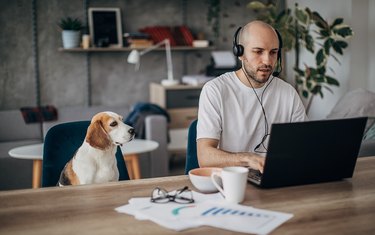 Man working on laptop at home, his pet dog is next to him on chair