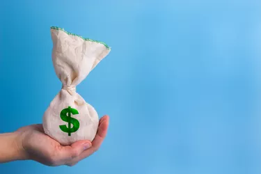Master Your Money Sapling Master Your Money Sapling