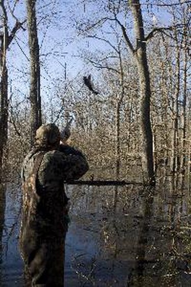 salary-of-a-pennsylvania-game-warden-sapling