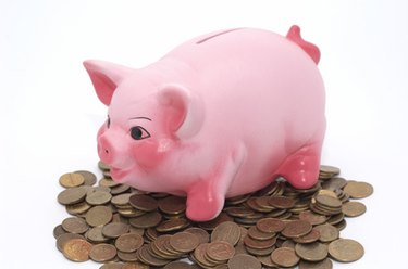 Glass Waterfowl Piggy Bank Coin Money Cash Savings Box Table Decor Clear 