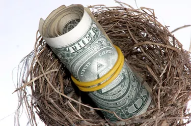 Roll of dollar bills in nest