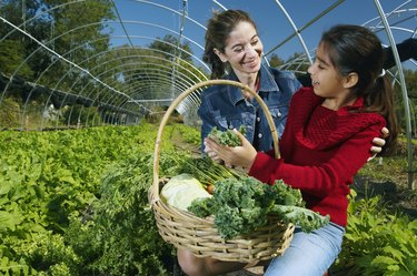 Multi-ethnic mother and daughter harvesting organic produce