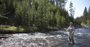 Senior man flyfishing in river