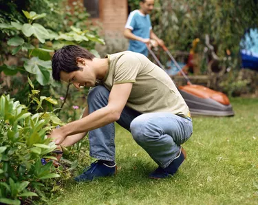 Man working in yard