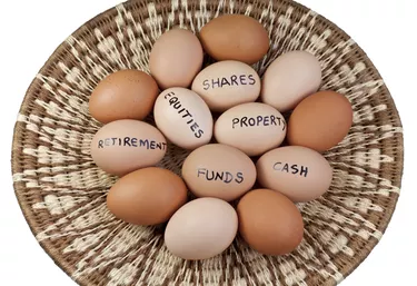 Basket Egg Investment Portfolio Concept