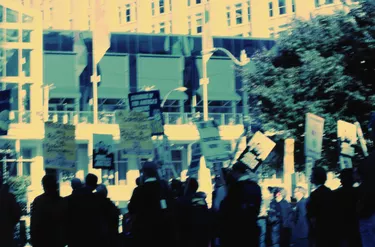 Crowd Carrying Protest Signs