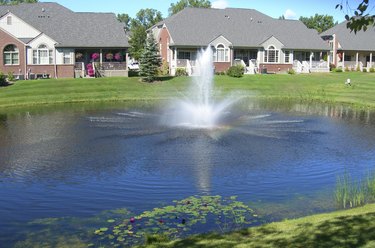 Houses with decorative fountain