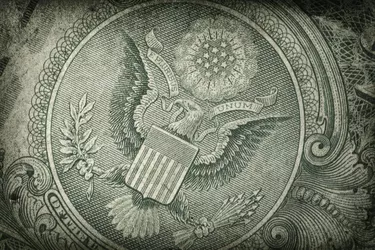 US Dollar Detail