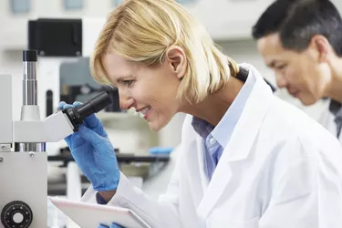 Female Scientist Using Tablet Computer In Laboratory