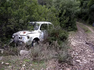 Old vehicle, Fiat