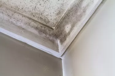 Water stains on the roof of a house.