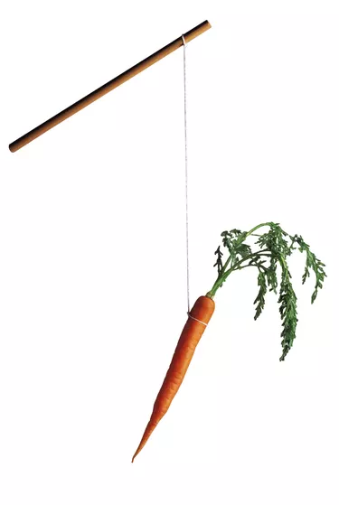 Carrot hanging from string