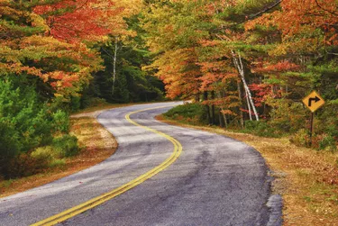 Winding autumn road