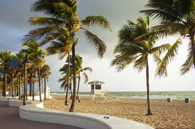 Fort Lauderdale Beach, Florida