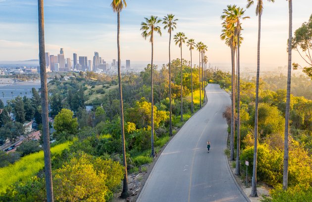 Young Woman Walking Down Palm Trees Street Revealing Downtown Los Angeles