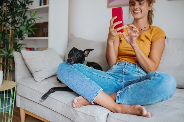 Photo of a young woman using a smart phone