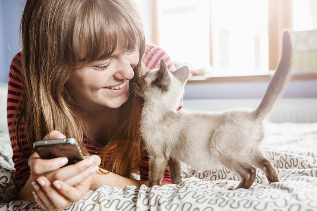 Young woman with phone gets cuddles from kitten.