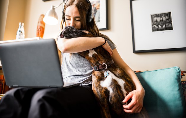 COVID-19, working online from home