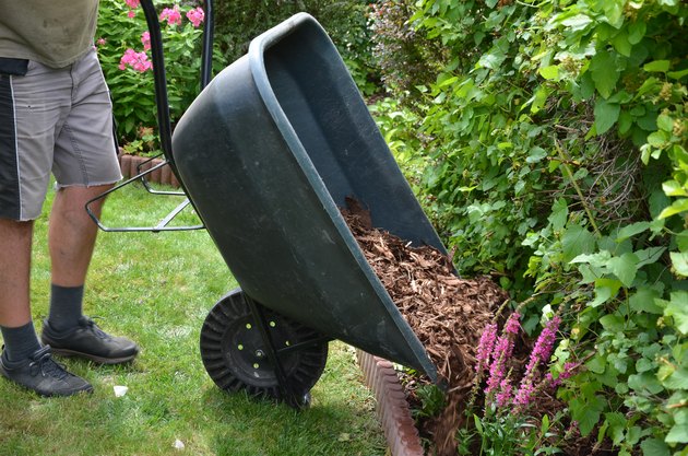 loading torture wood chips bark on a wheelbarrow with a shovel from a car and delivery to the garden where ornamental perennial beds are mulched by gardeners