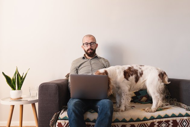 Man trying to work at home, dog seeking attention.