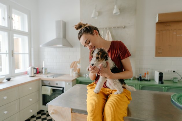 Mornings with my dog