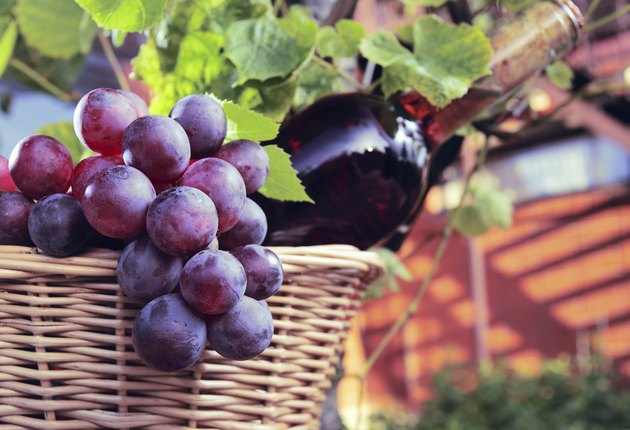 wine and grape