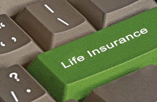 what-is-paid-up-life-insurance-sapling