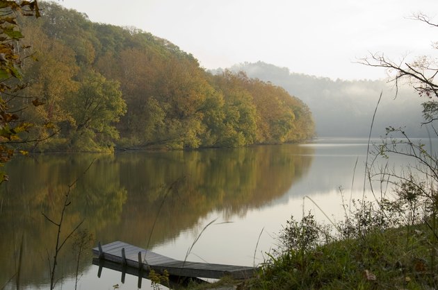 Misty autumn day