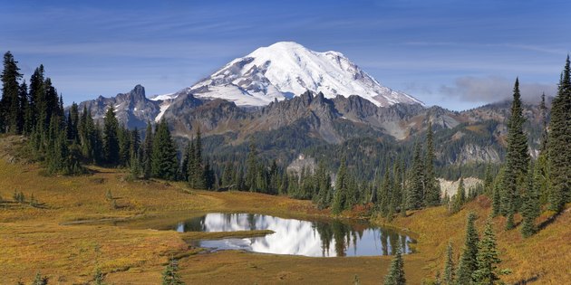 Reflection of trees and a snowcapped mountain in a lake, Tipsoo Lake, Mount Rainier, Chinook Pass, Mount Rainier National Park, Washington, USA