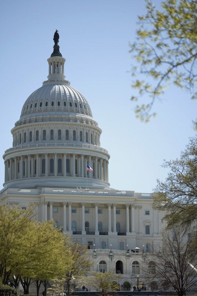 Capitol building in Washington DC USA