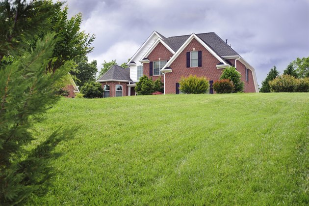 American house with beautiful green lawn