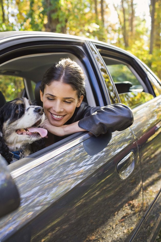 Woman and cocker spaniel dog in car