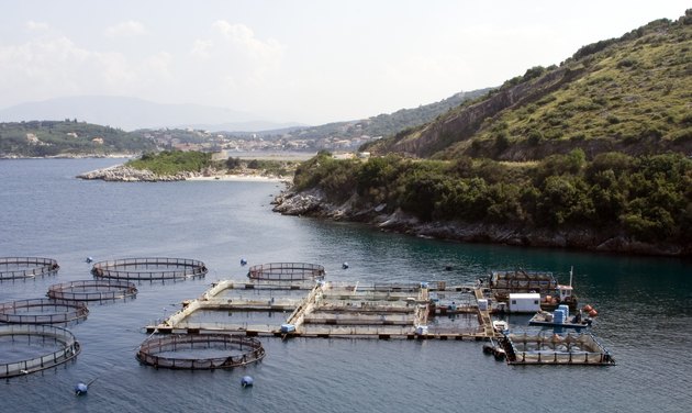 fish farm