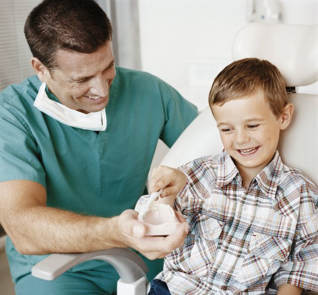 Dentist Showing a Young Boy How to Brush His Teeth With a Plaster Cast of Human Teeth