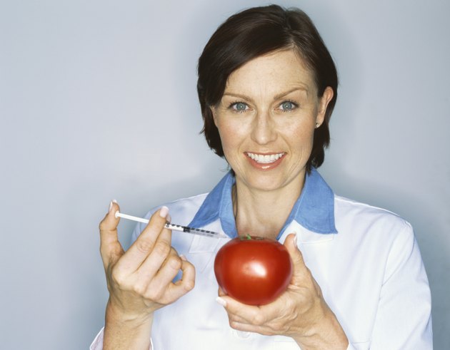 close-up of a female scientist injecting liquid into a tomato