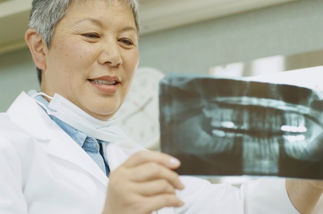 Senior Asian female dentist looking at x-rays