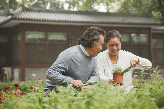 Smiling senior couple in garden