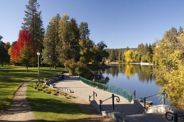 Urban park, lake and paved path with stairs