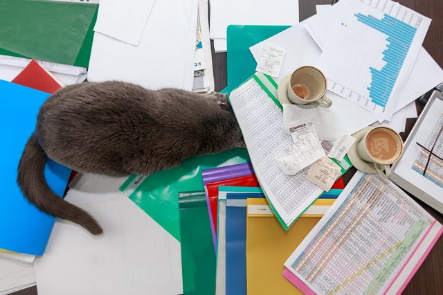 A cat is making a mess on a desk with documents