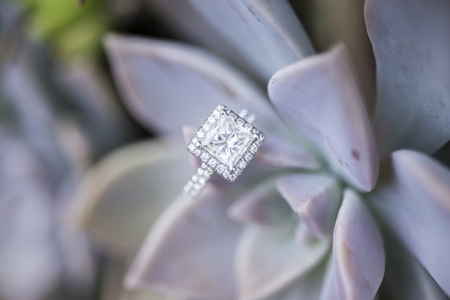 Diamond ring resting on succulent