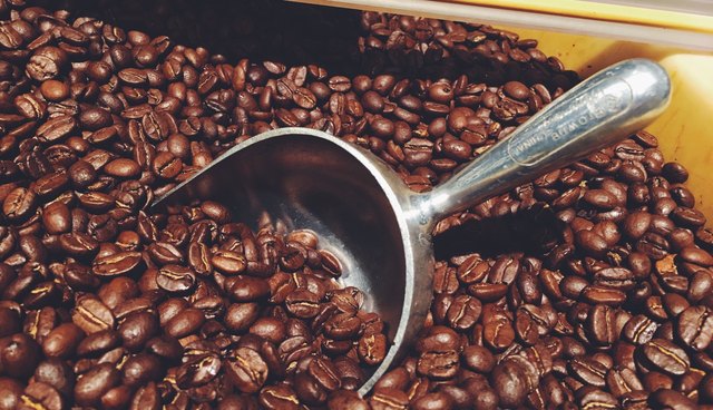 Metal scoop in bin of roasted coffee beans