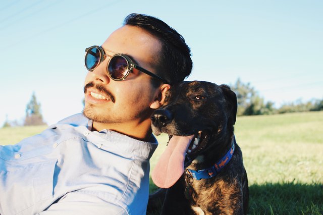 Man at park with dog posing in field